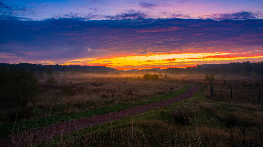 Chasing Autumn Light.