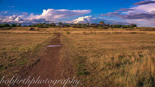 The Journey So Far: Building My Photography Dream