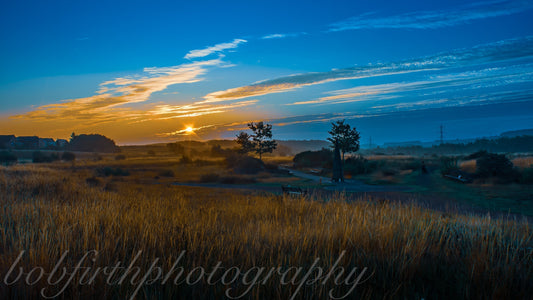Why I Took Up Photography and How I Got Here