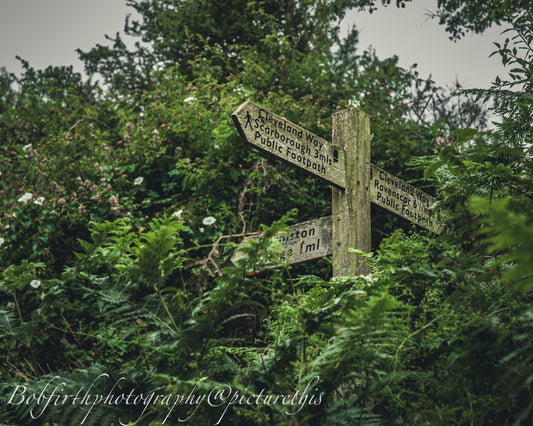From Sea Frets to Soggy Socks – A Coastal Camping Misadventure