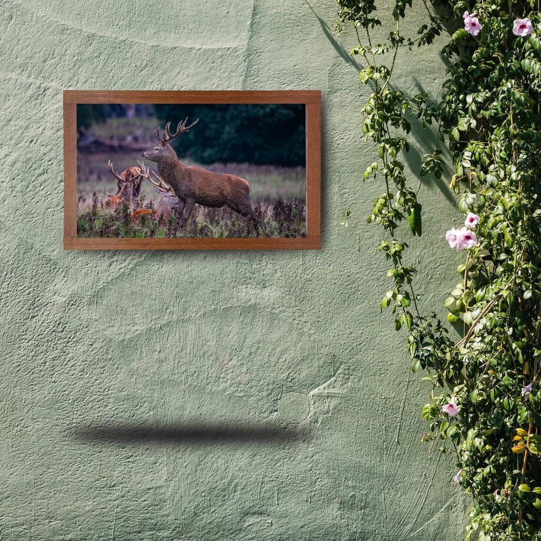 Red Stag Print Wall Art.