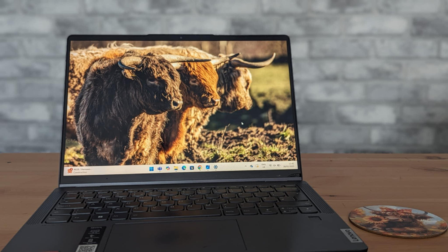 Three Highland Cattle Rustic print.