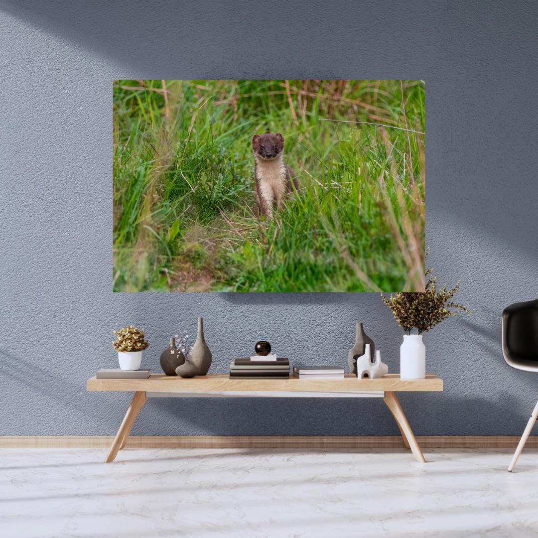 Charming Stoat.