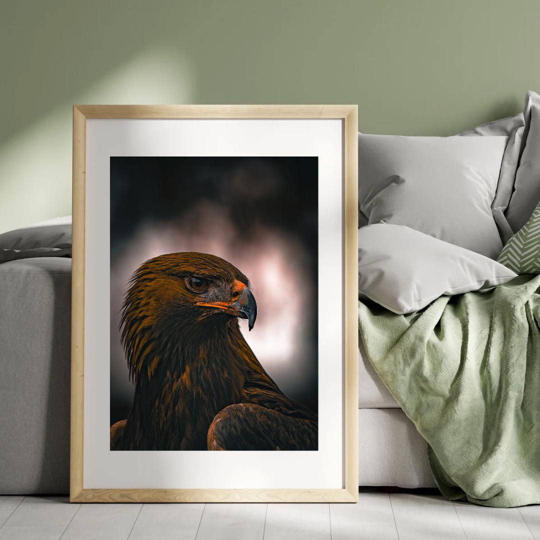Majestic eagle portrait