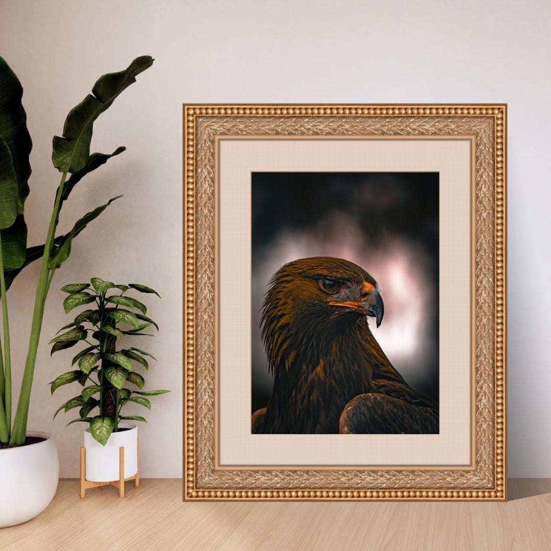 Majestic eagle portrait