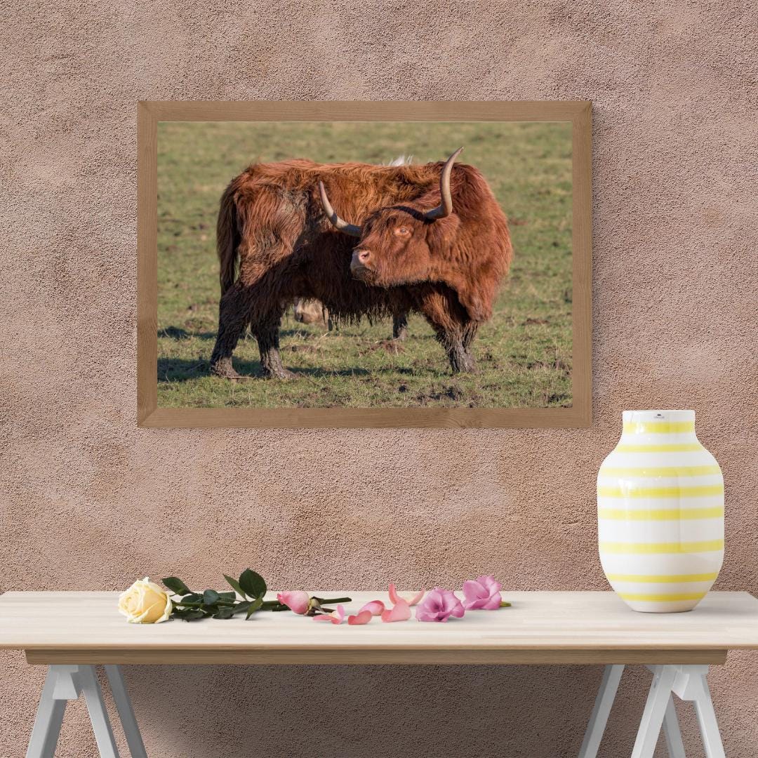 Highland Cow Print.