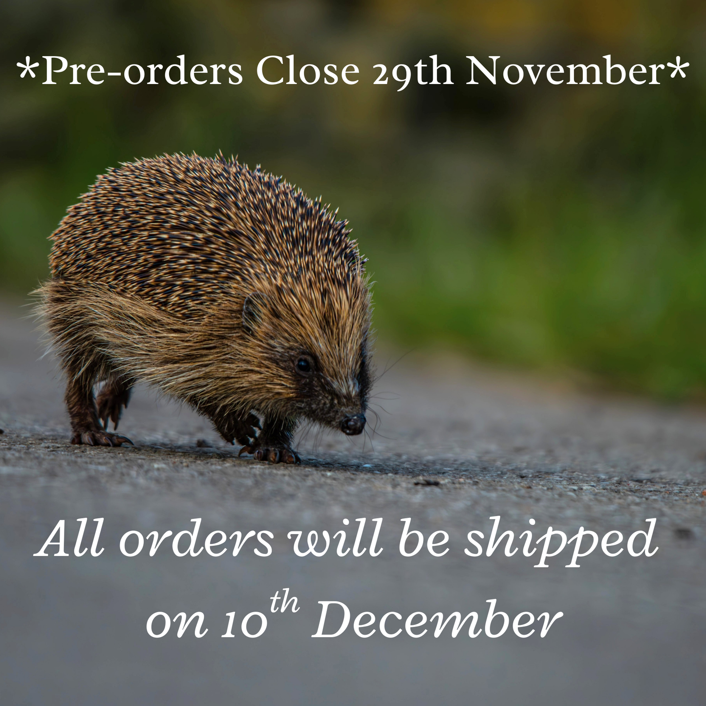PRE-ORDER 2026 Nature & Wildlife Calendar