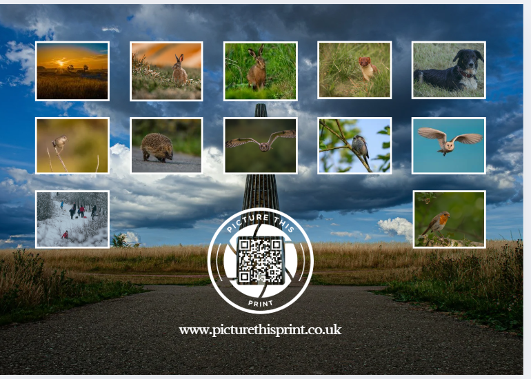 PRE-ORDER 2026 Nature & Wildlife Calendar