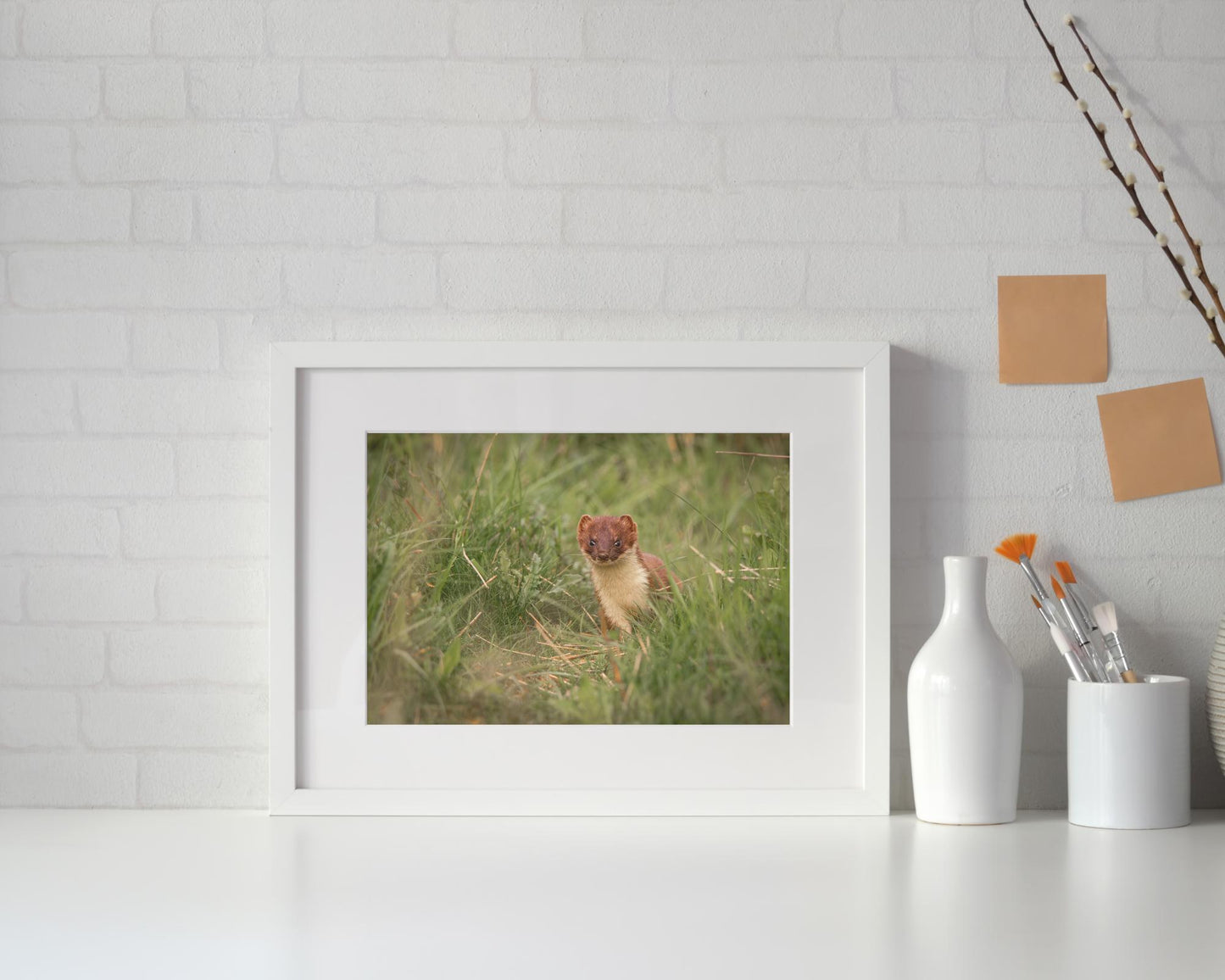 Charming Stoat Art Print