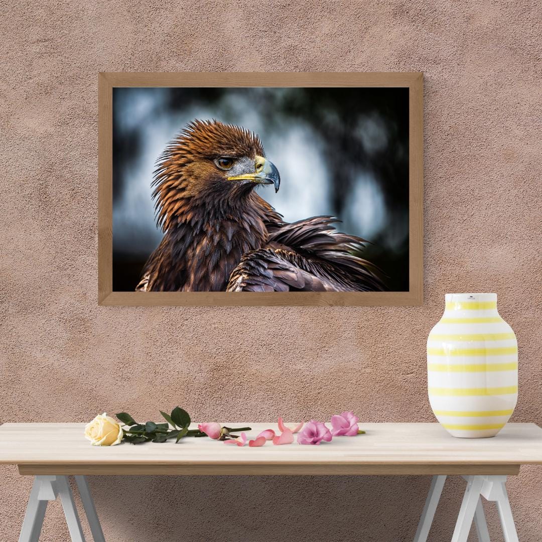 Golden Eagle Majestic Male Raptor Print.