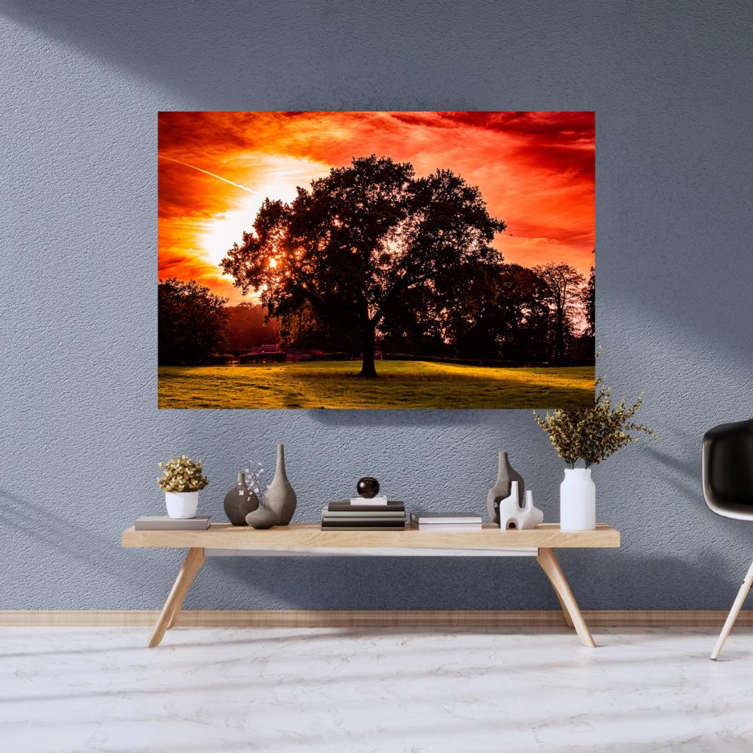 The Tree of life.