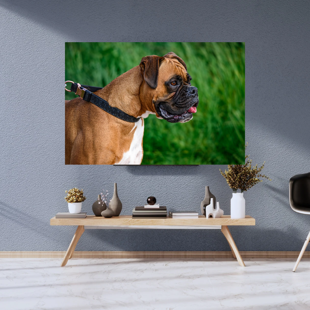 "Majestic Boxer – Fine Art Dog Portrait Print"
