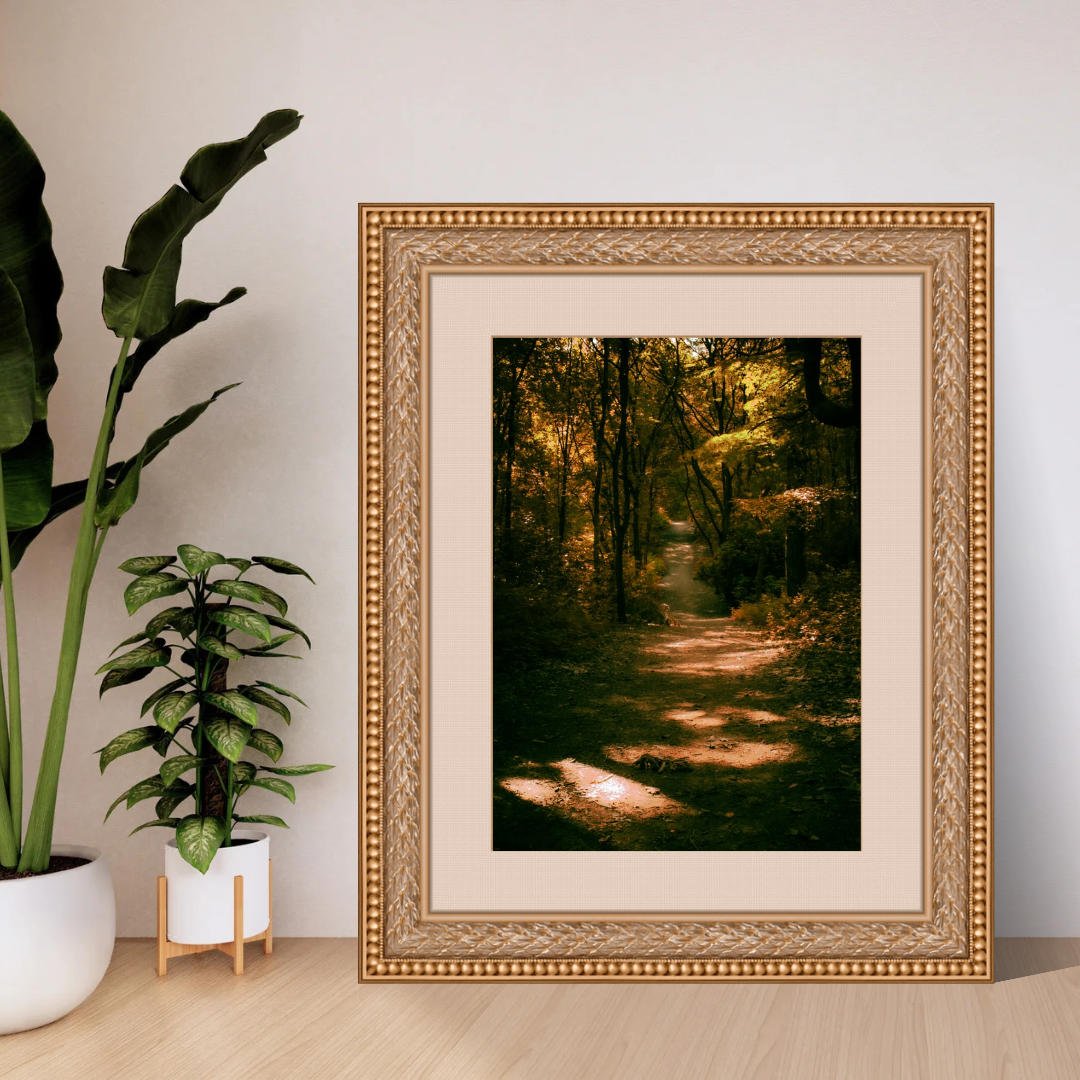 Golden Path Through the Trees – Autumn Woodland Print (Portrait)