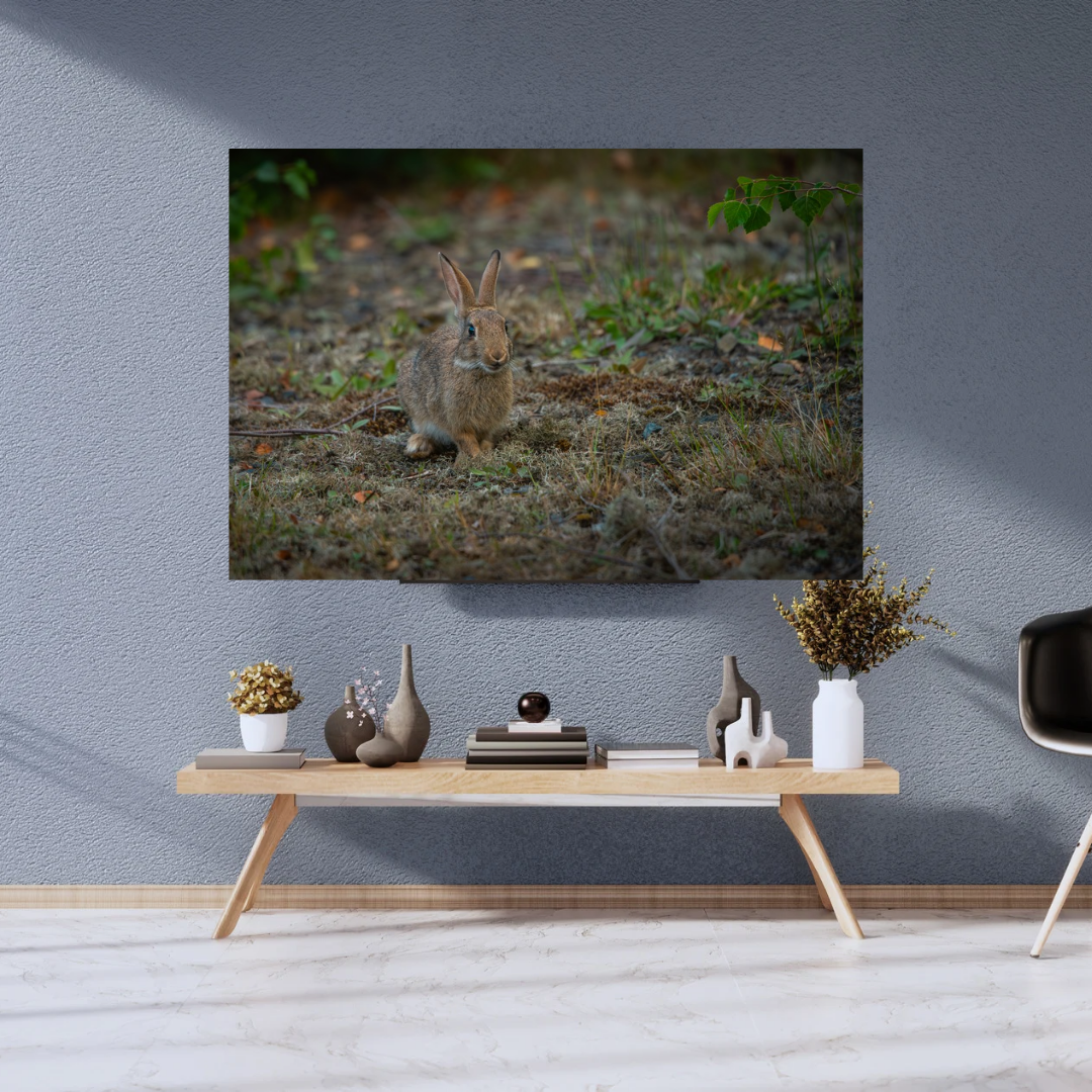 "Whiskers in the Wind" – Adorable Rabbit Woodland Print