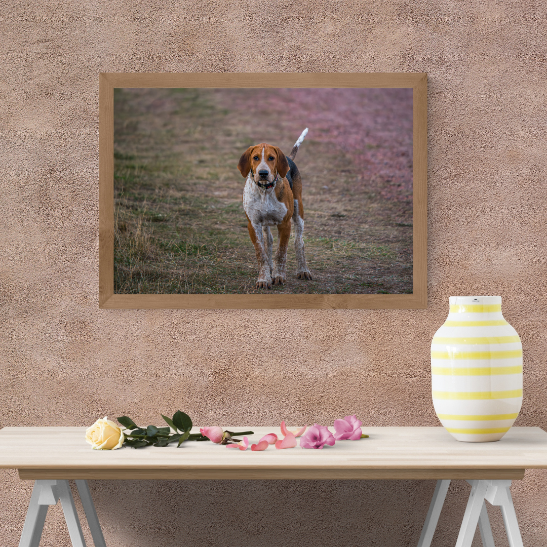 Hound Dog Portrait Print – Rustic Countryside Wall Art | Picture This Print