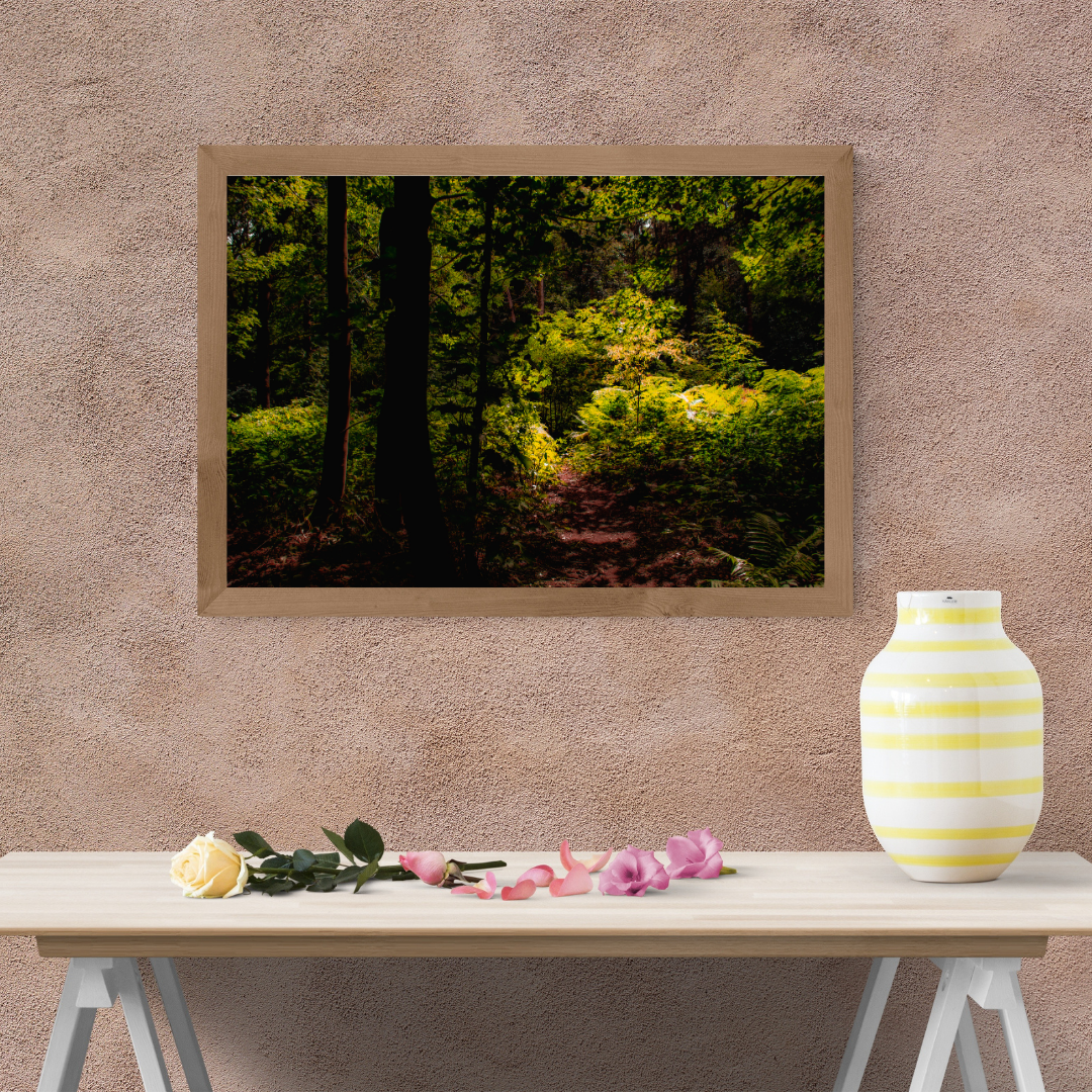 Tranquil Green Woodland Path – Nature Photography for Calm and Mindfulness.