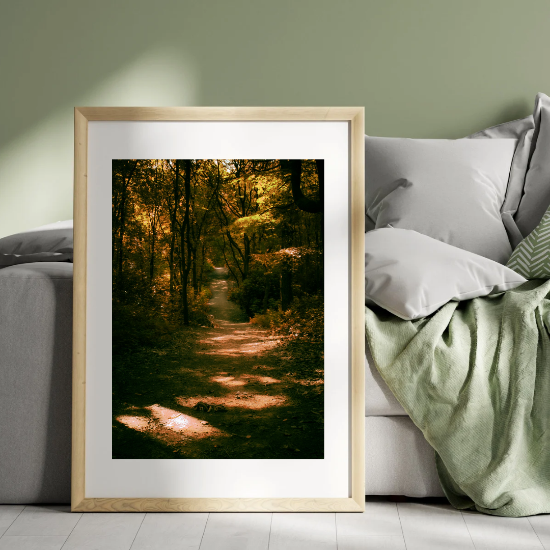 Golden Path Through the Trees – Autumn Woodland Print (Portrait)
