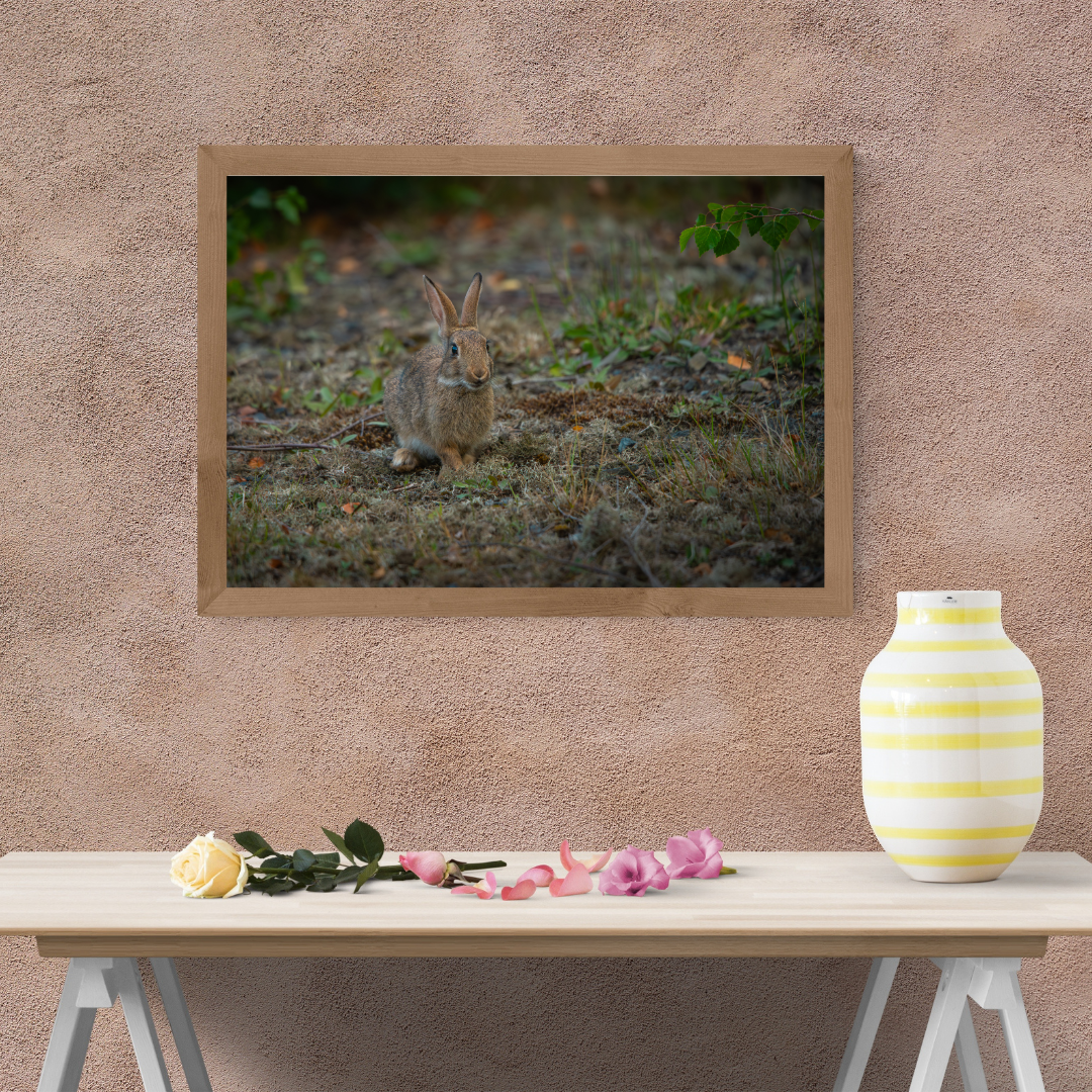 "Whiskers in the Wind" – Adorable Rabbit Woodland Print