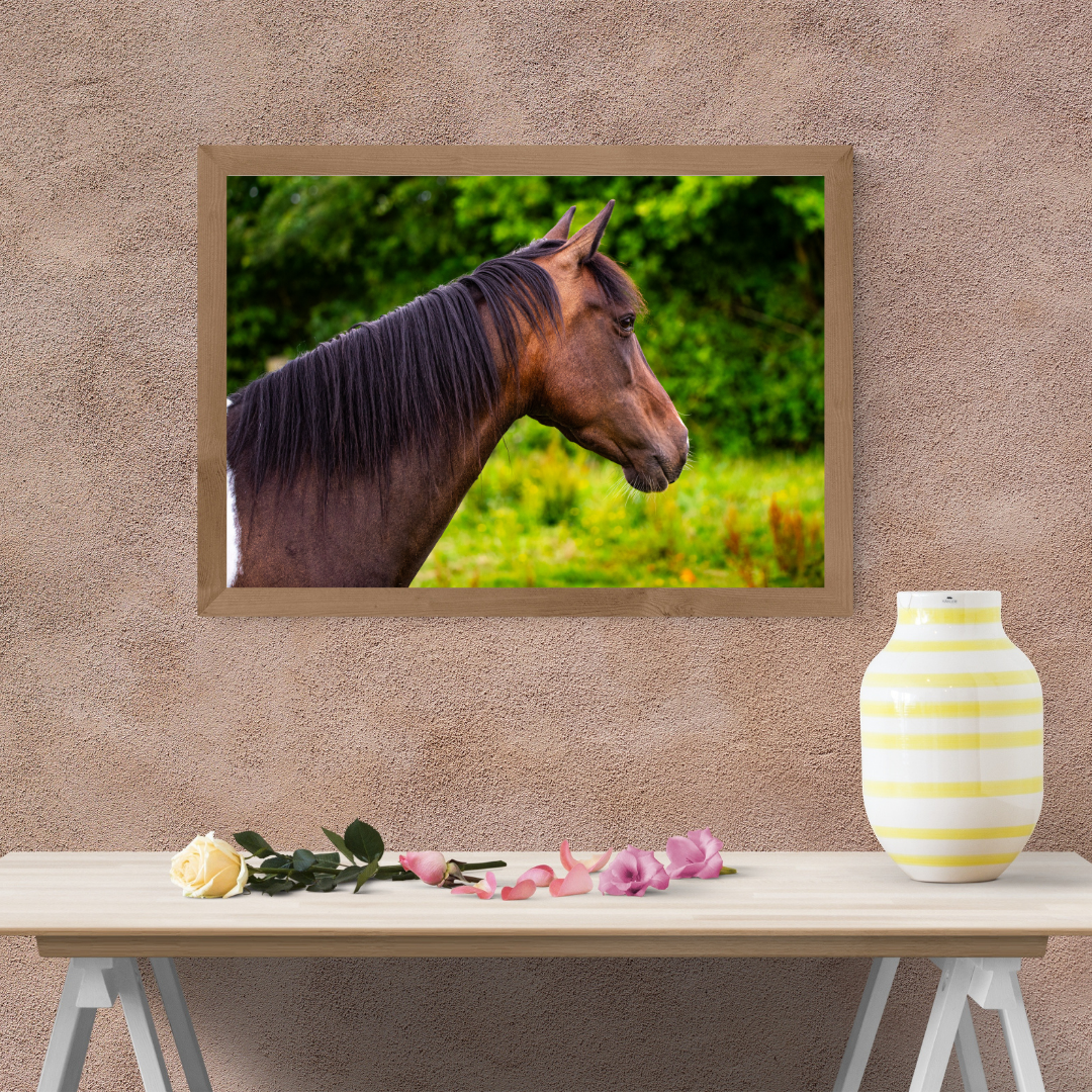 Paddock pony portrait – Equine Wall Art Print