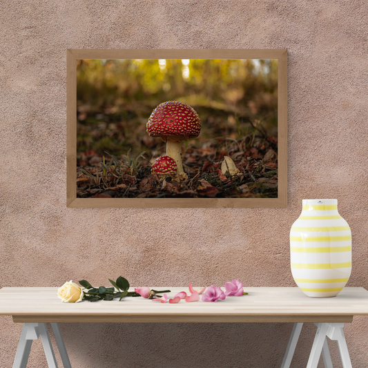 Fly Agaric Mushroom Print – Autumn Woodland Photography, Magical Nature Wall Art
