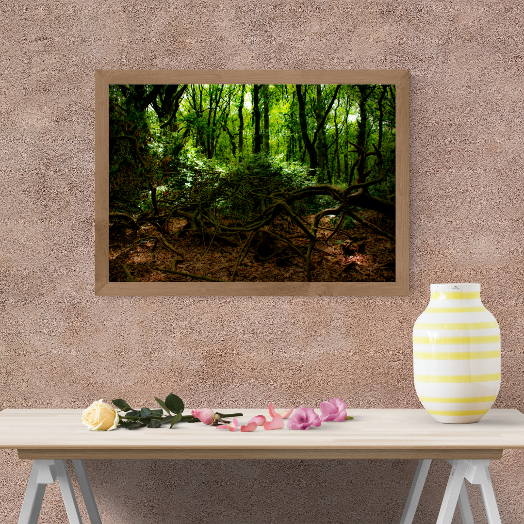Woodland Print (landscape)