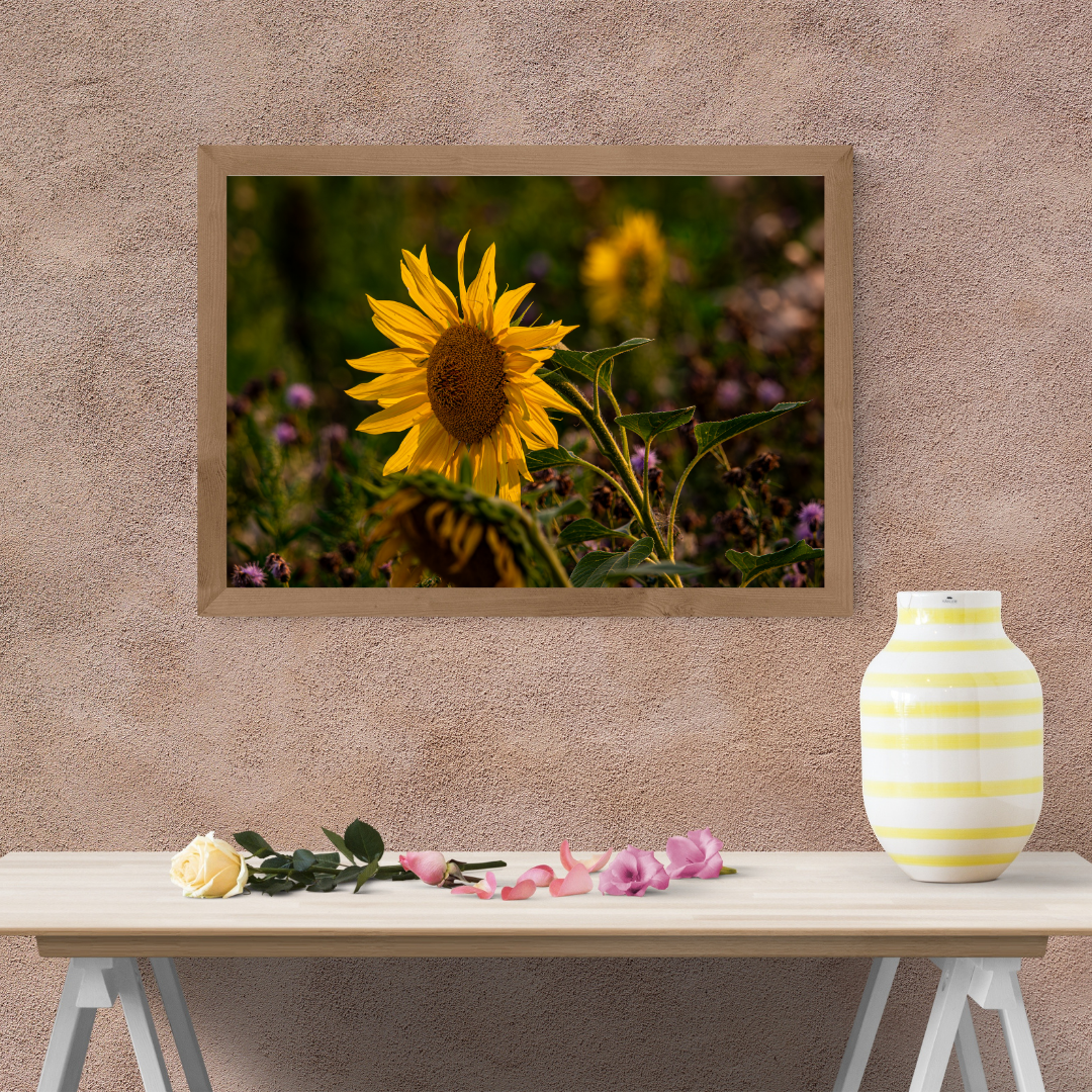 Beautiful Sunflower Portrait – Vibrant Yellow Wall Art Print