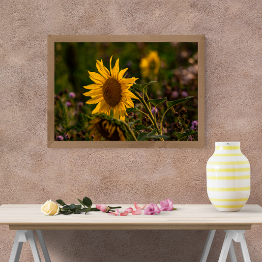 Beautiful Sunflower Portrait – Vibrant Yellow Wall Art Print