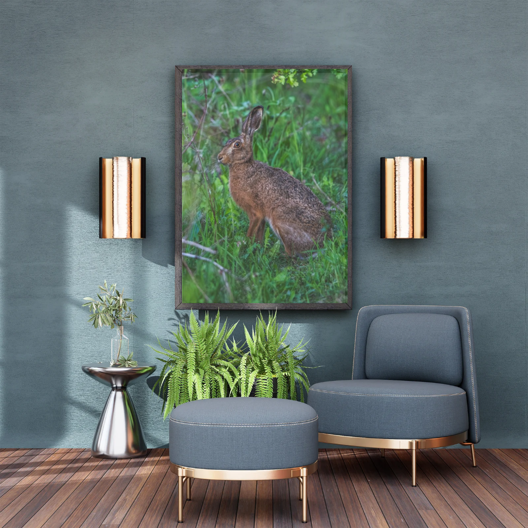 Wild Brown Hare (portrait).