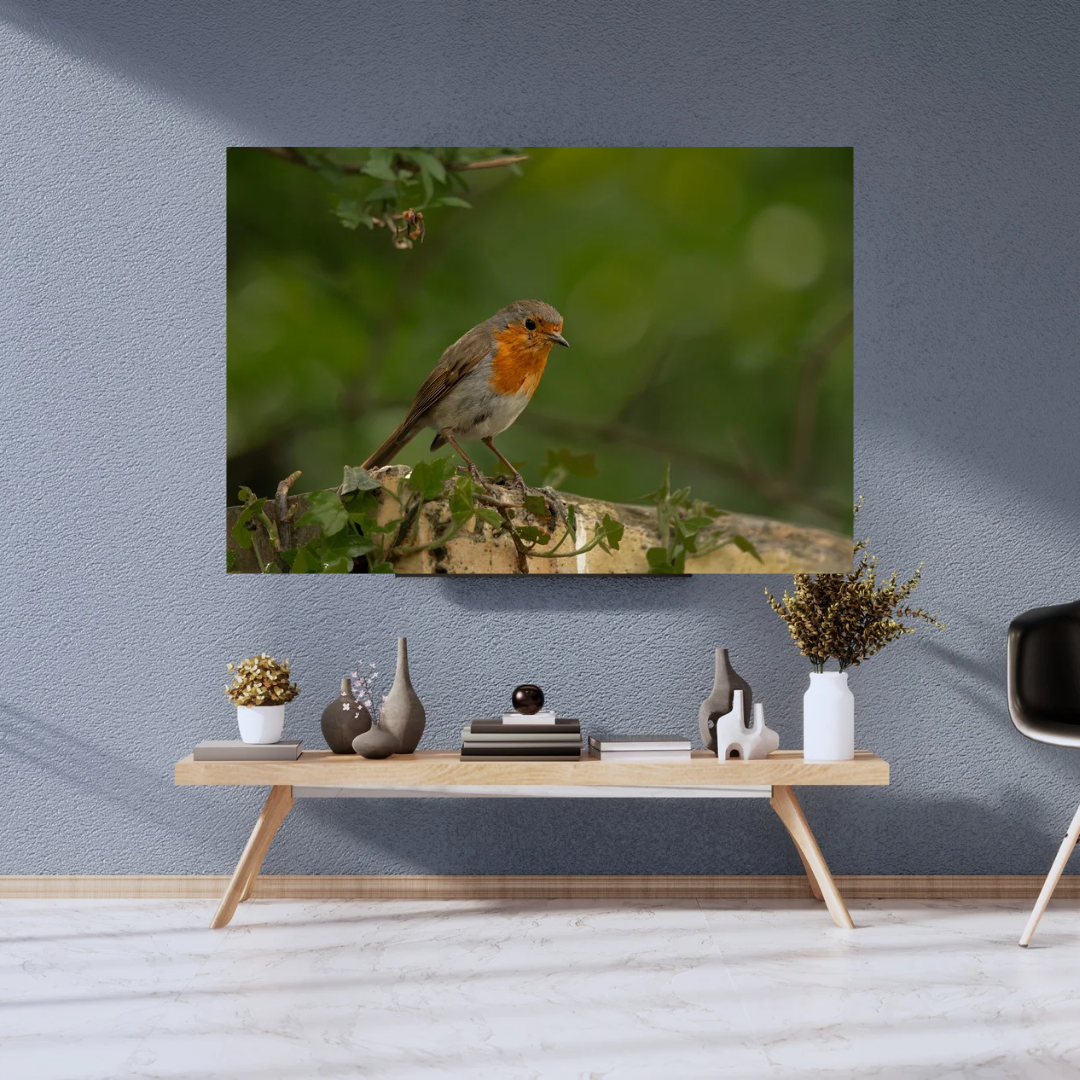 Robin Print – Woodland Wall Art for Animal Lovers