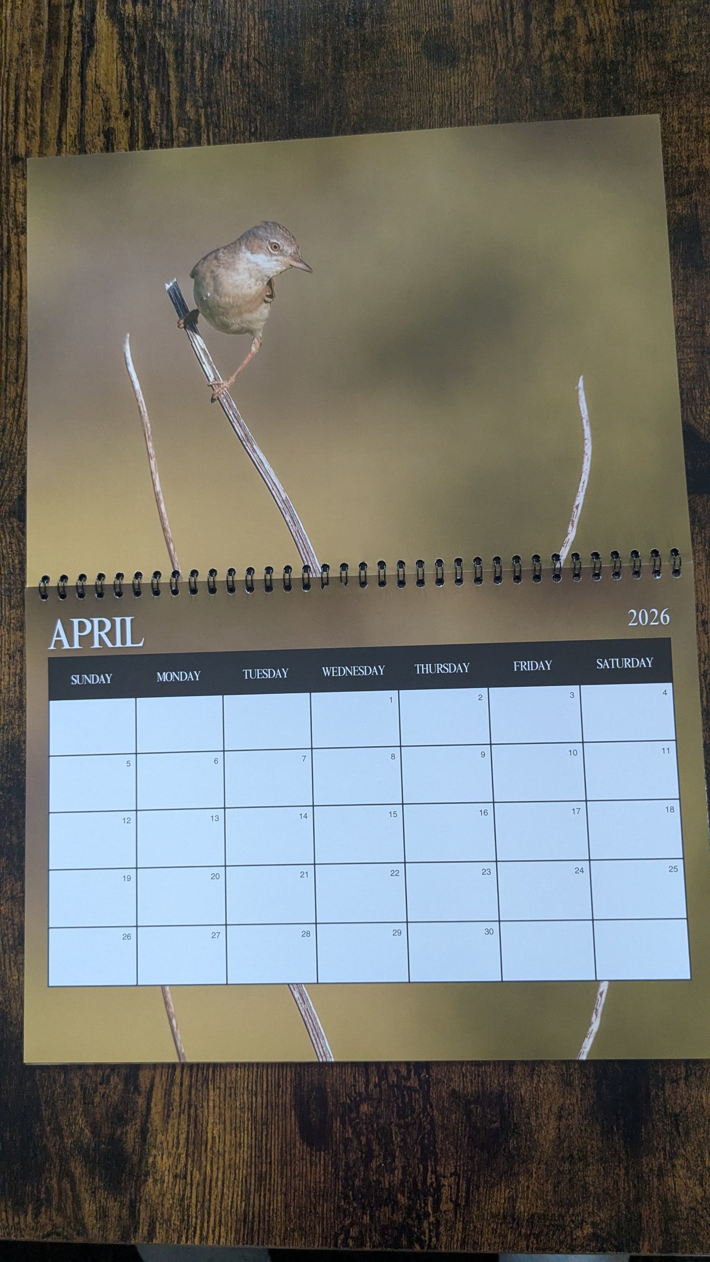 Pre-Order 2026 Nature & Wildlife Calendar (FREE October Shipping)