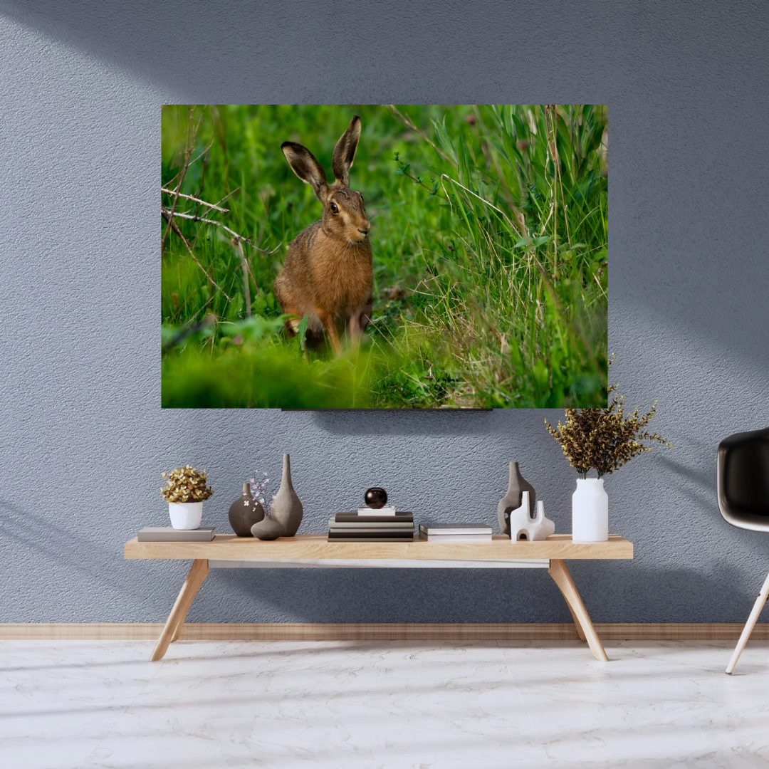 Wild Brown Hare (landscape).