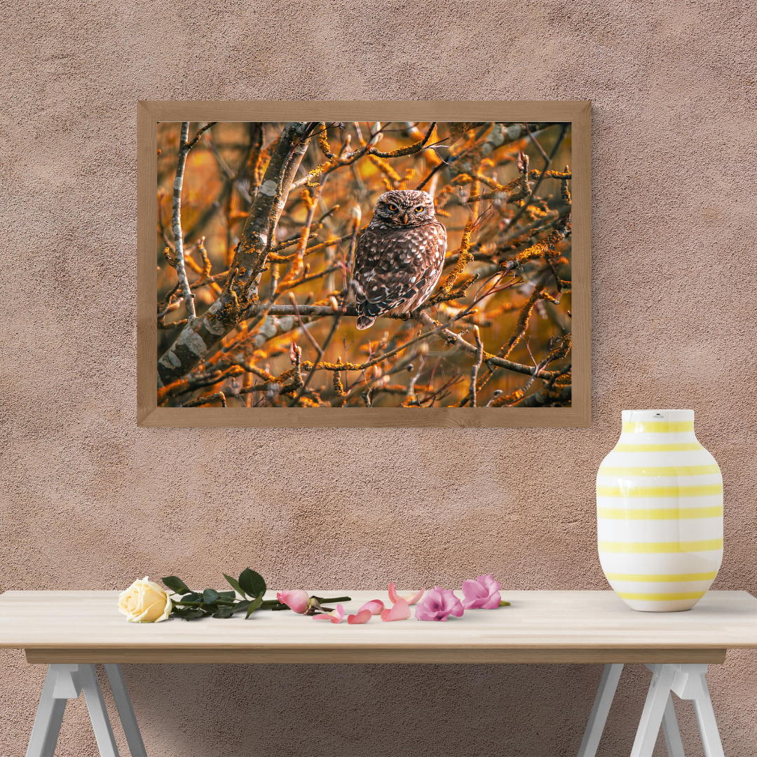 "Striking Little Owl Print – Woodland Wildlife Wall Art"