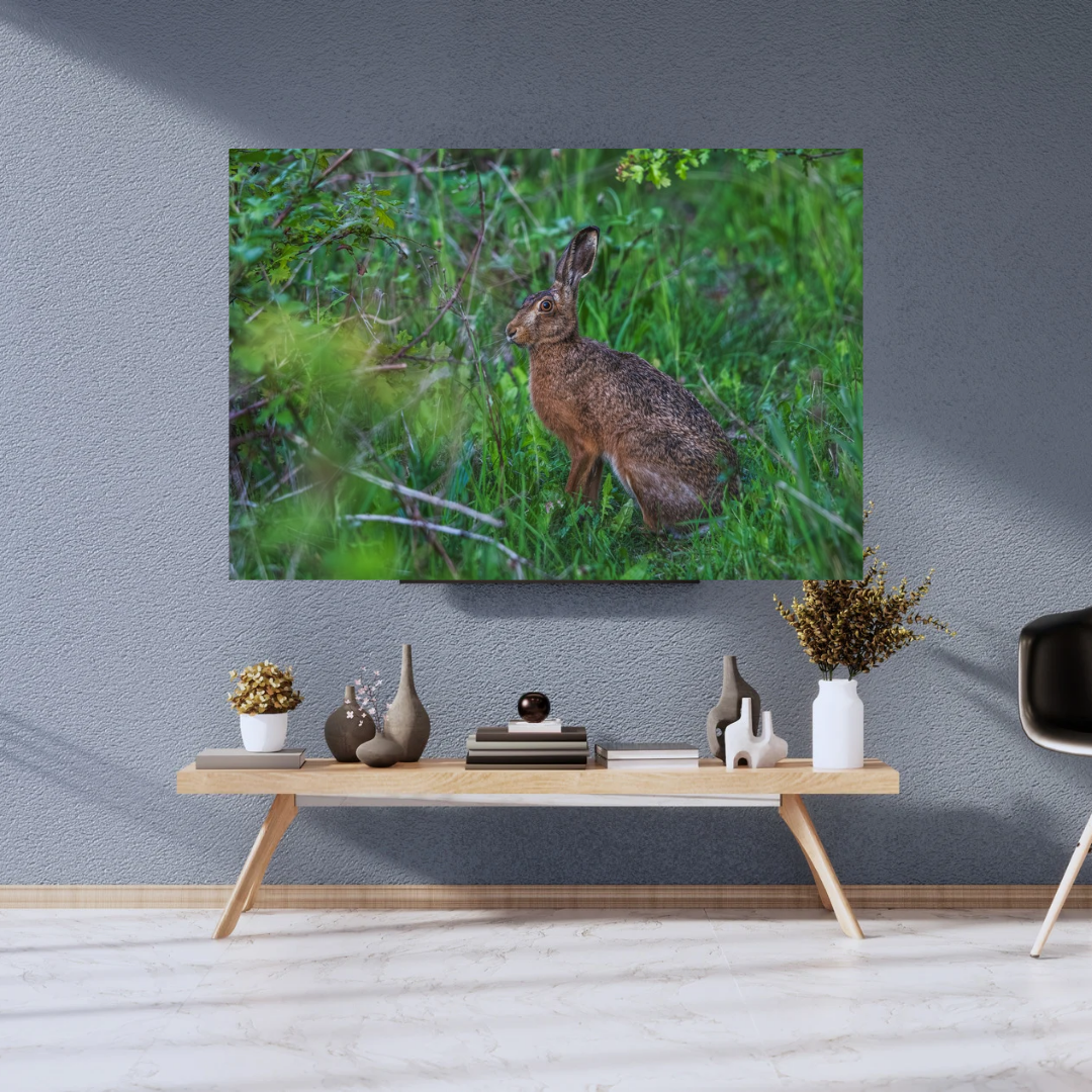 Wild Brown Hare (landscape).