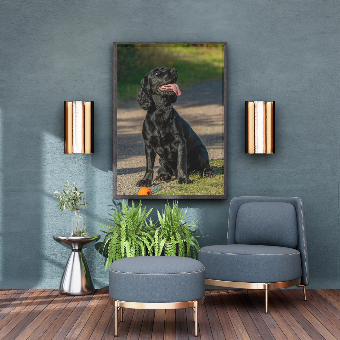 Springer Spaniel Wall Art Print – Dog Photography for Home Décor