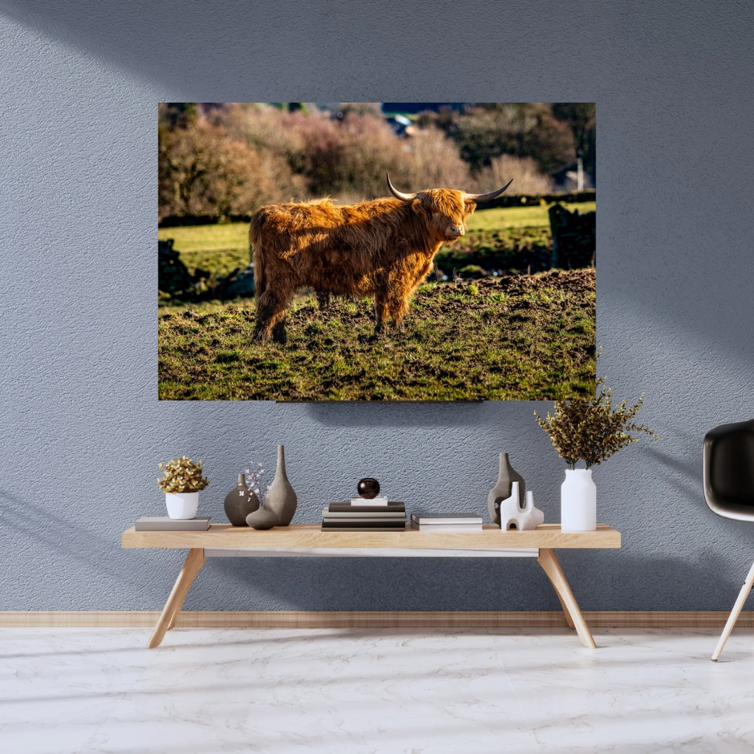 Highland Cow Print.