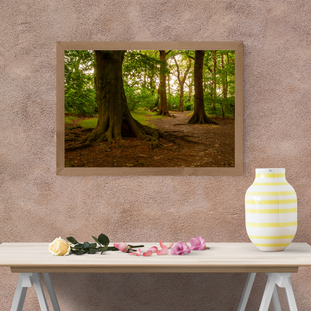 Golden woodland pathway.