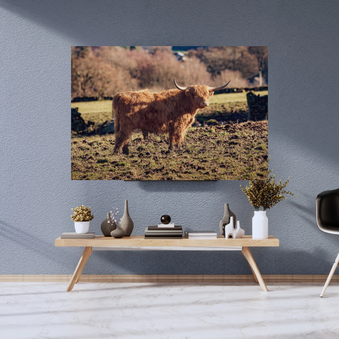 Highland Cow Print.