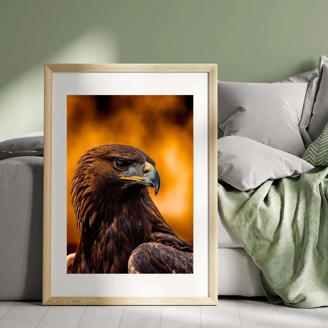 Majestic Golden Eagle Print – Wildlife Wall Art