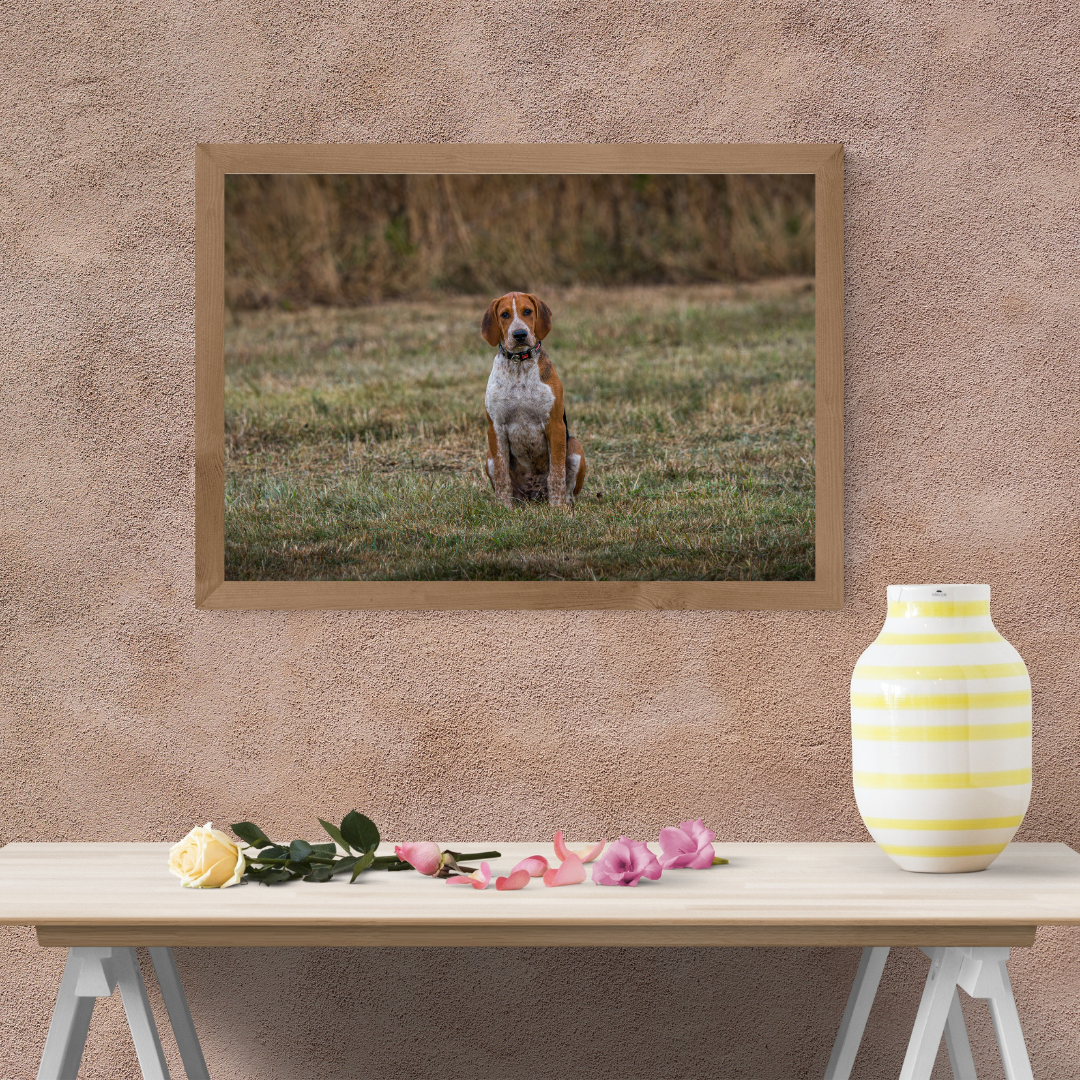 Hound Dog Portrait Print – Rustic Countryside Wall Art | Picture This Print