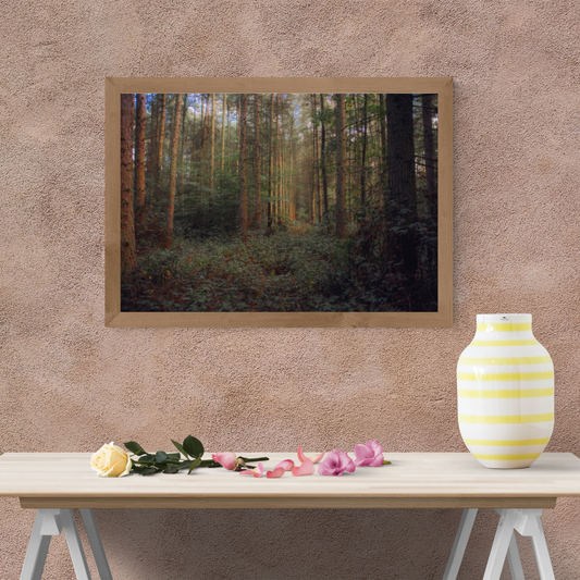 Autumn Woodland Photography Print – Peaceful Forest Nature Wall Art