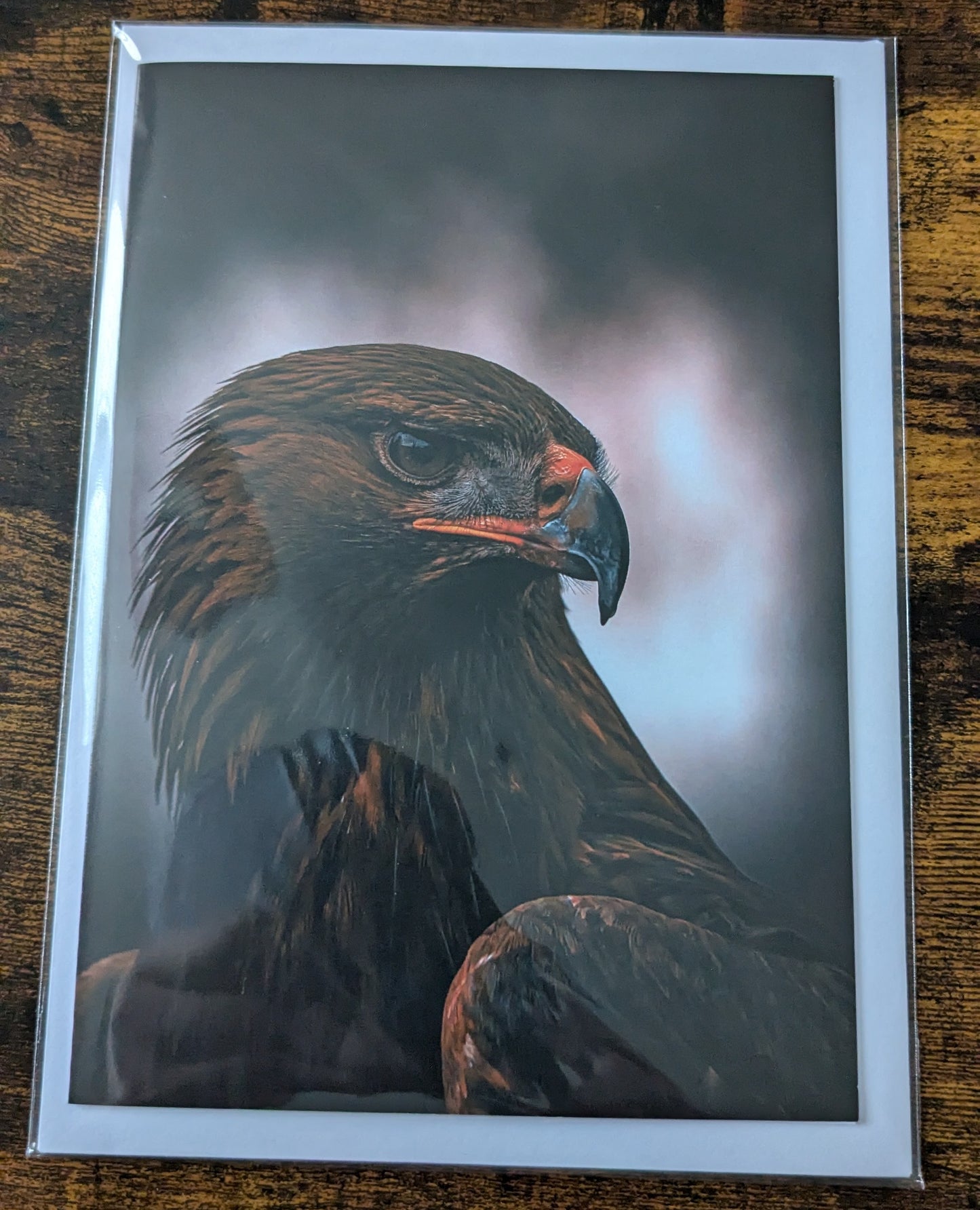 Golden eagle,Greeting card.