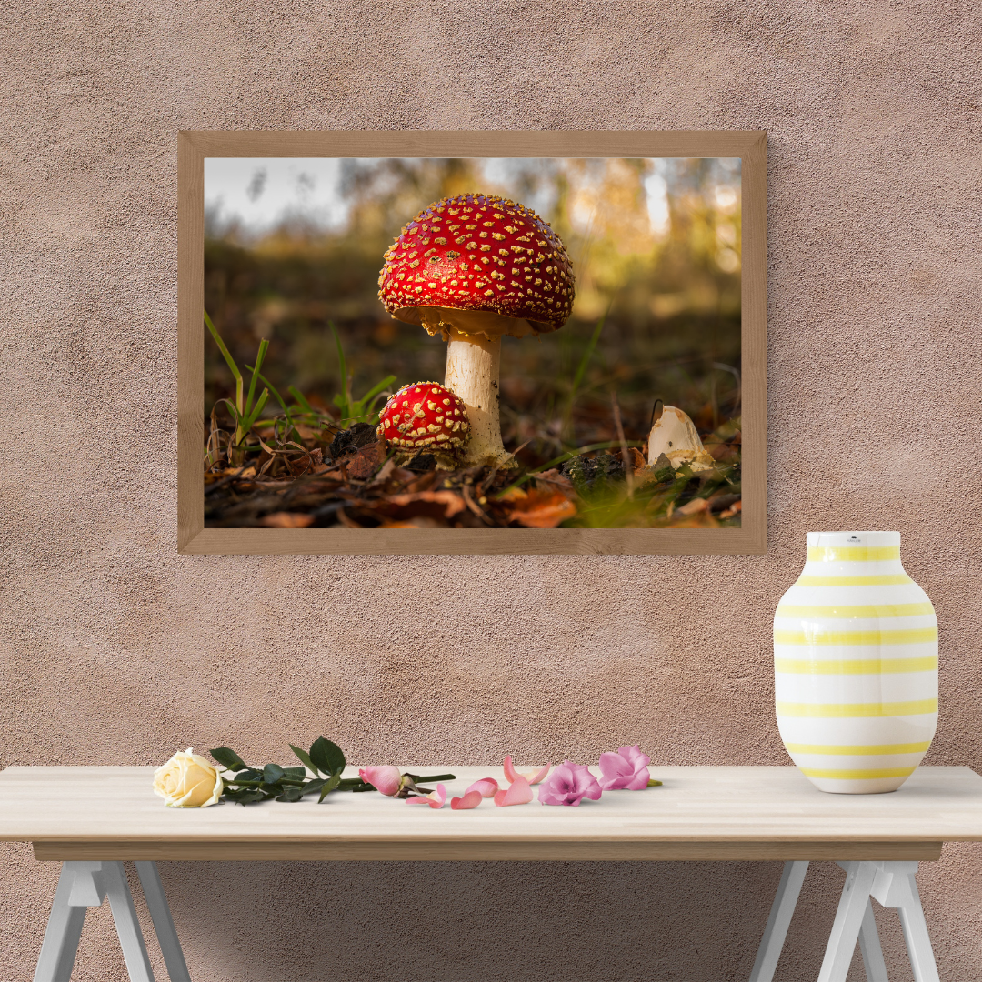 Fly Agaric Mushroom Print – Autumn Woodland Photography, Magical Nature Wall Art
