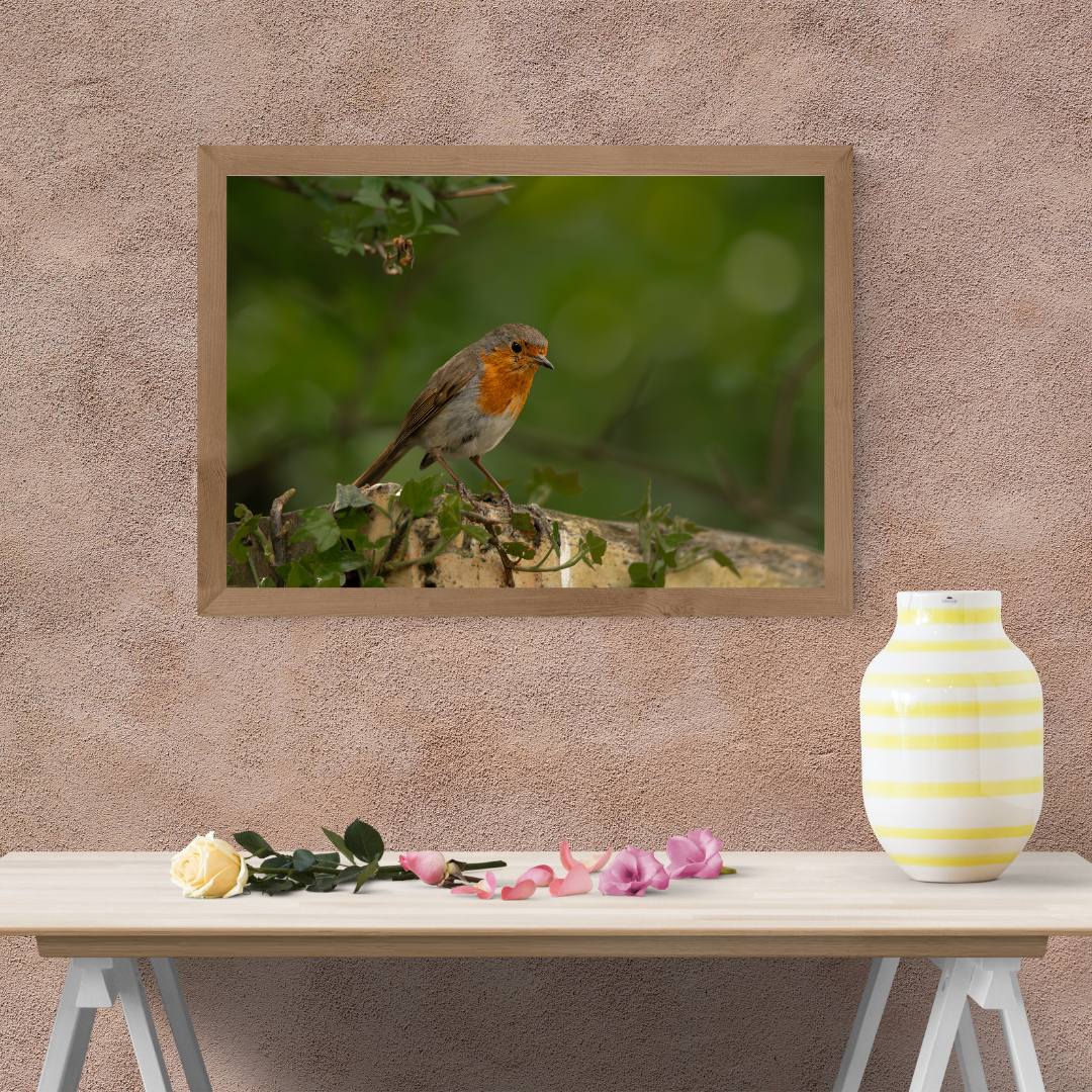 Robin Print – Woodland Wall Art for Animal Lovers