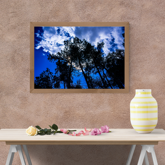 Days on Ilkley Moor" under the tree canopy.