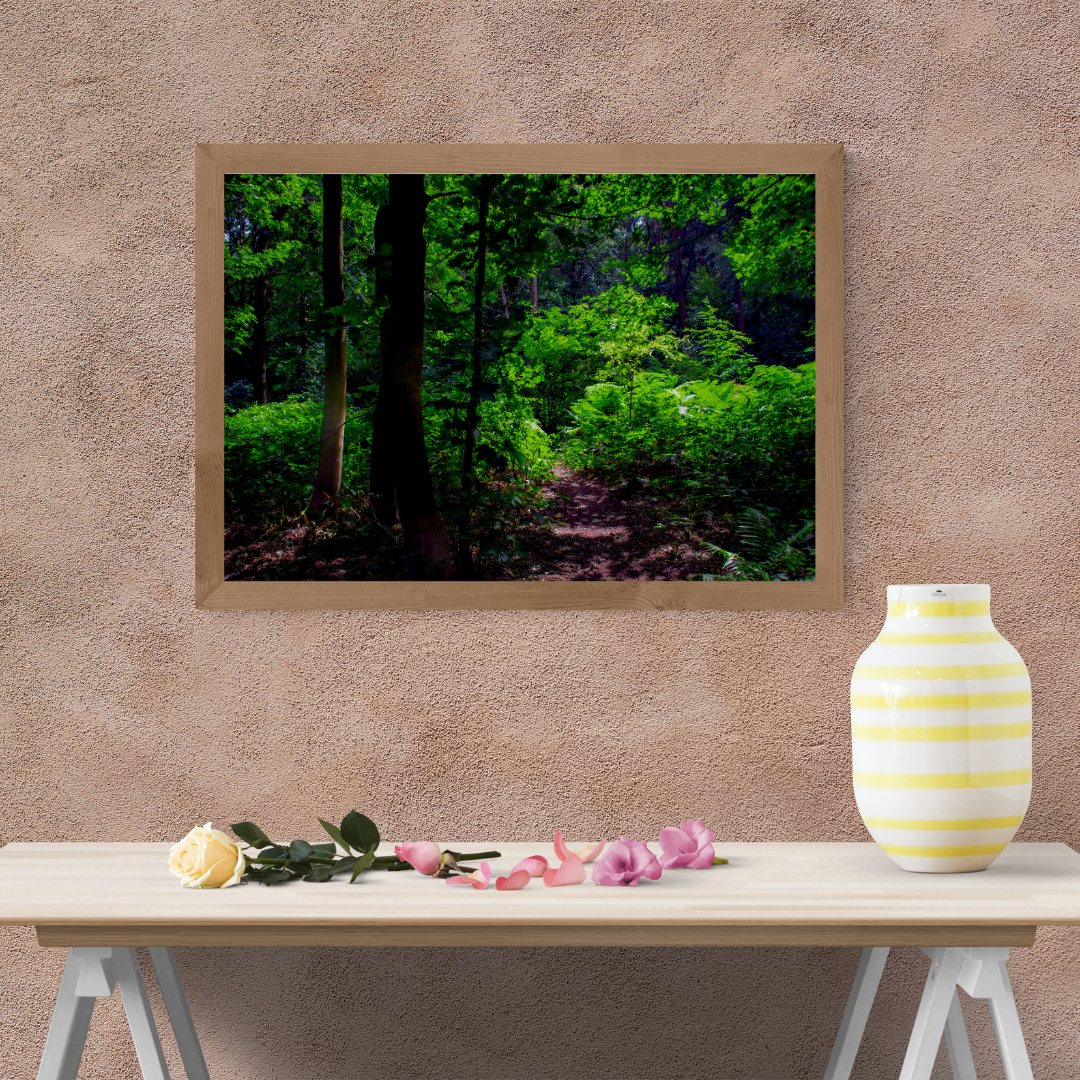 Tranquil Green Woodland Path – Nature Photography for Calm and Mindfulness