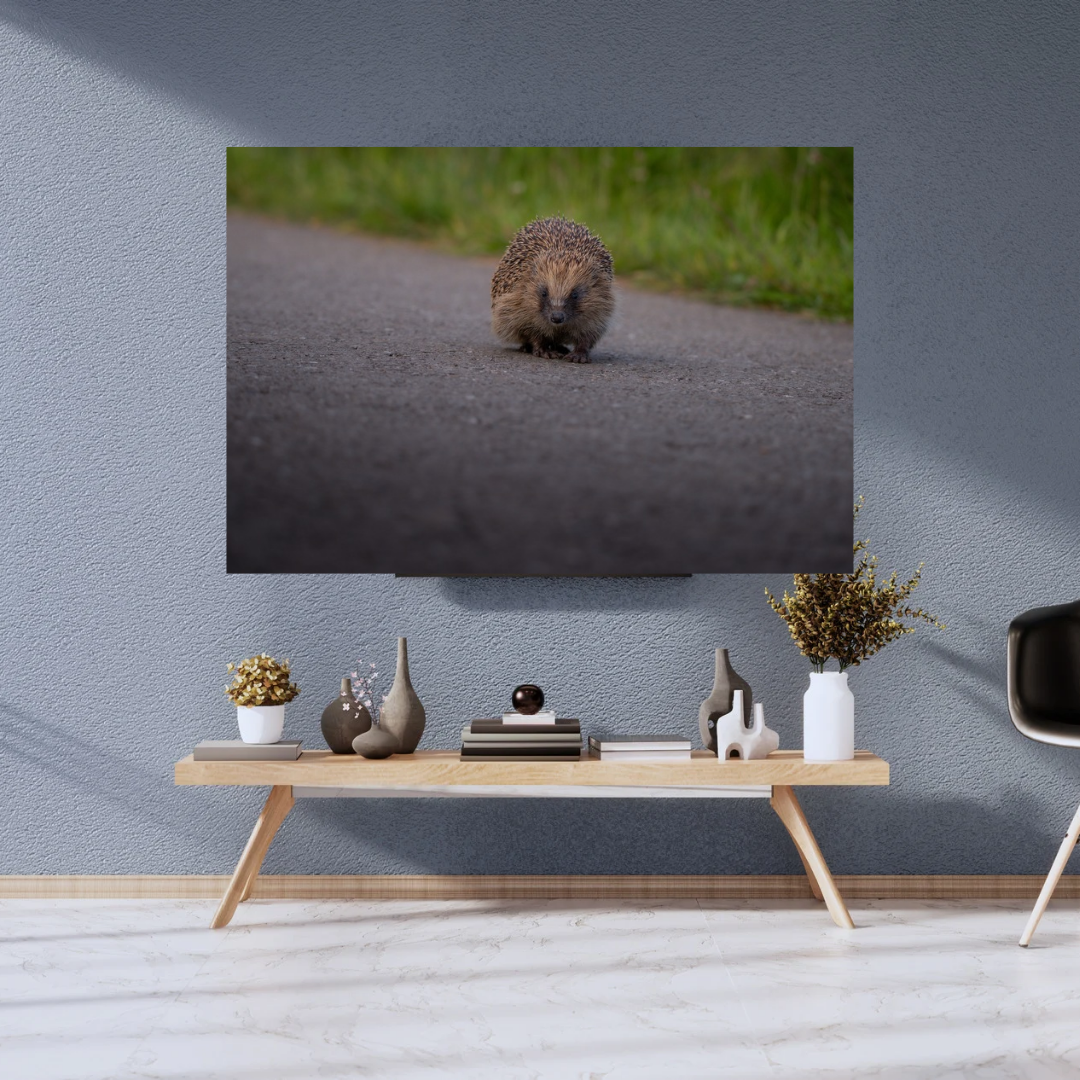 Prickly But Cute Hedgehog Print – Woodland Wall Art for Animal Lovers