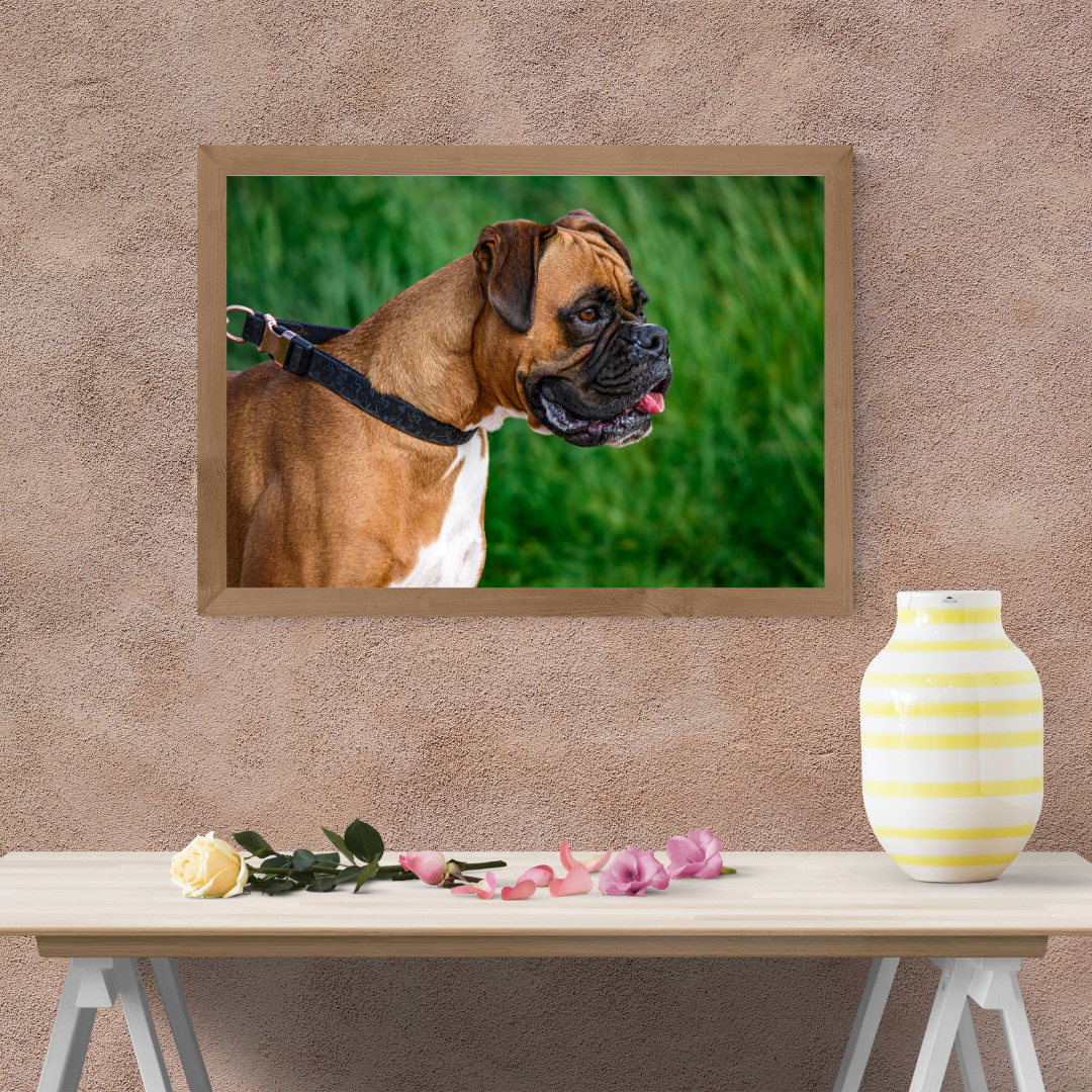 "Majestic Boxer – Fine Art Dog Portrait Print"