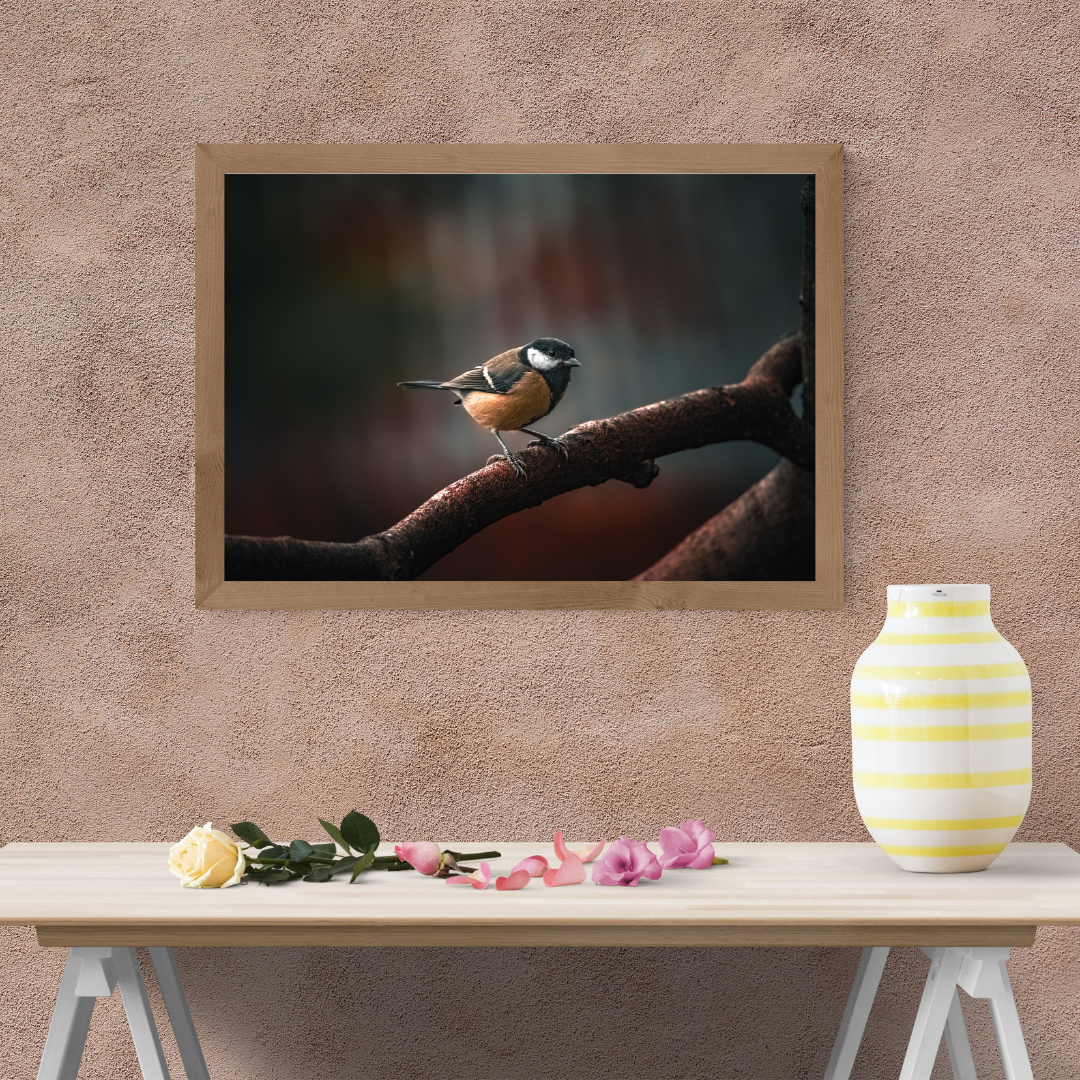 Great Tit on Branch – Wildlife Photography Print