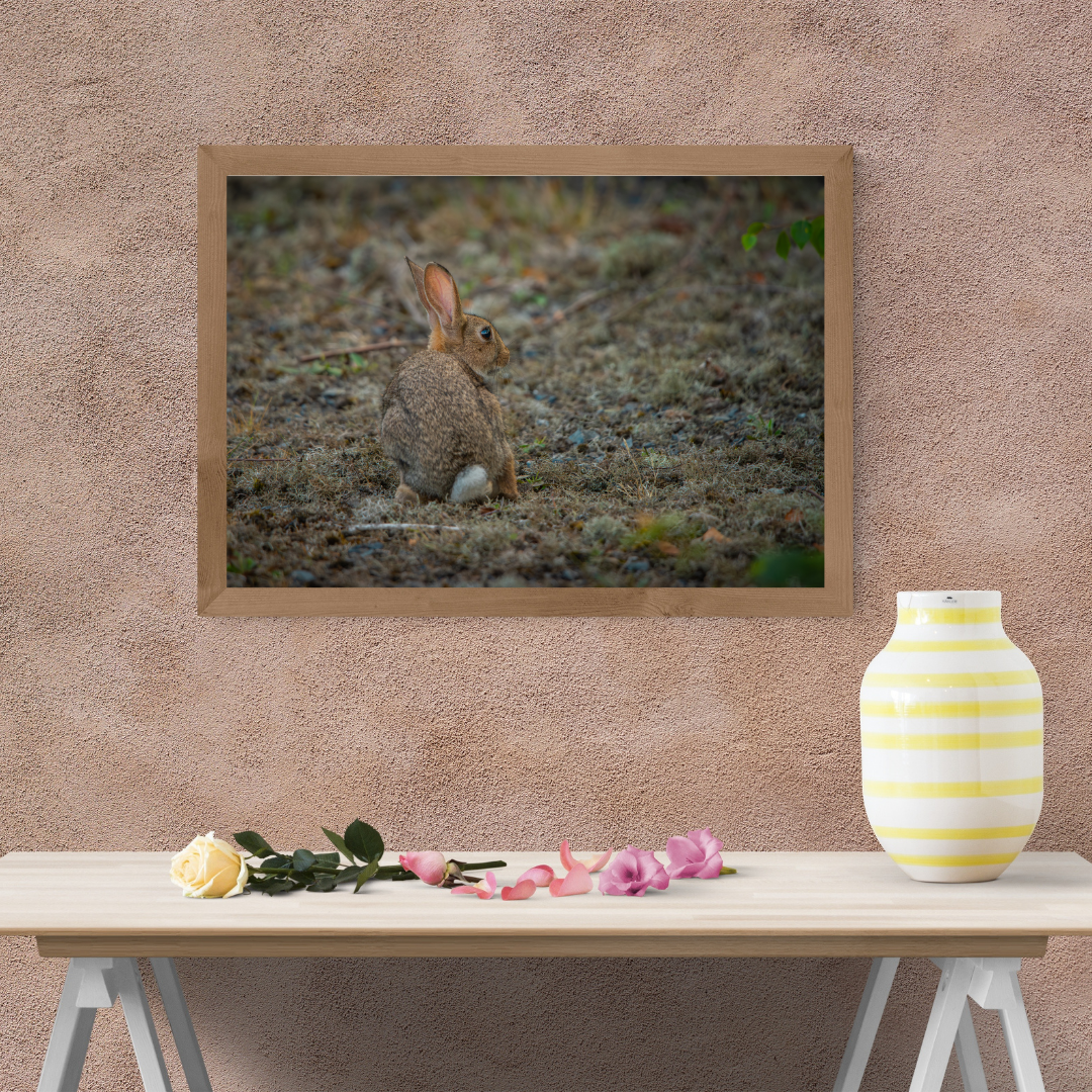 "Whiskers in the Wind" – Adorable Rabbit Woodland Print