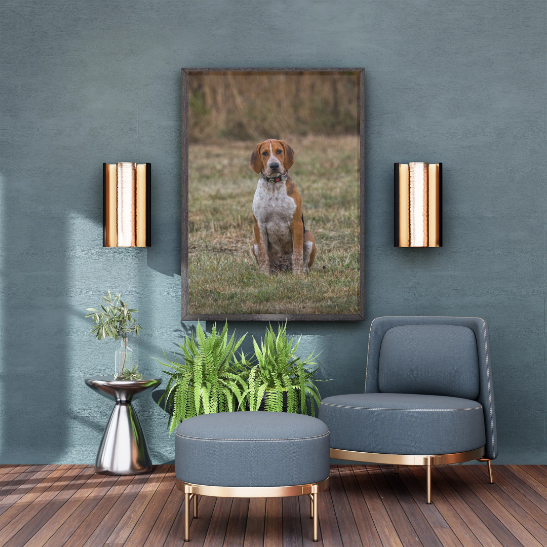 Hound Dog Portrait Print – Rustic Countryside Wall Art | Picture This Print